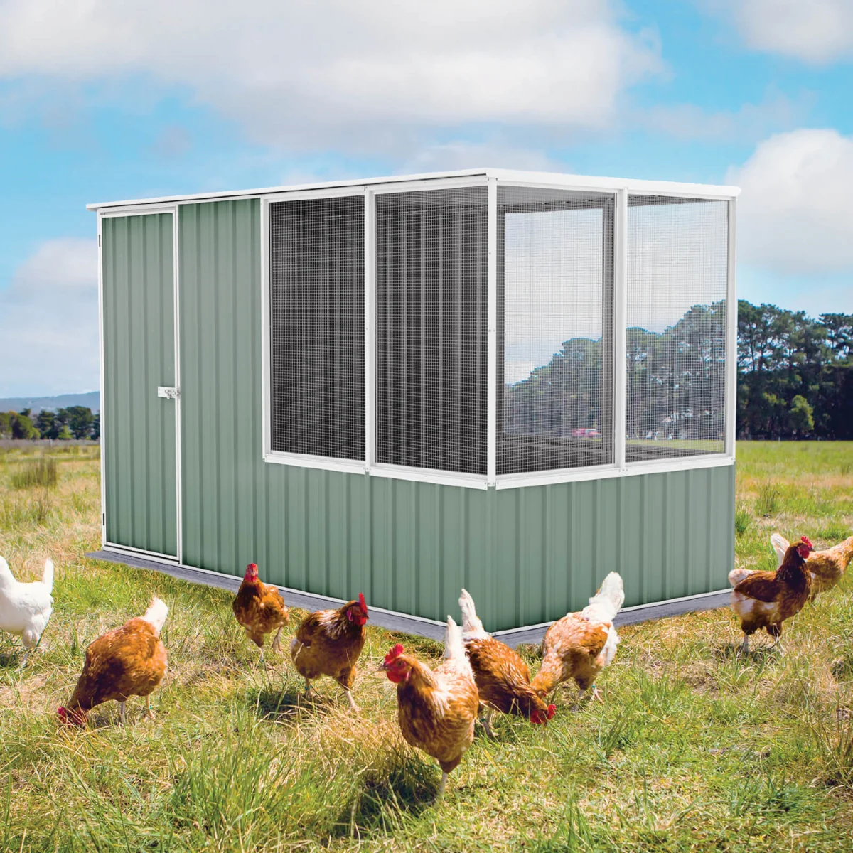 Absco | 5 ft Wide Chicken Coop - Pale Eucalypt - Image 11