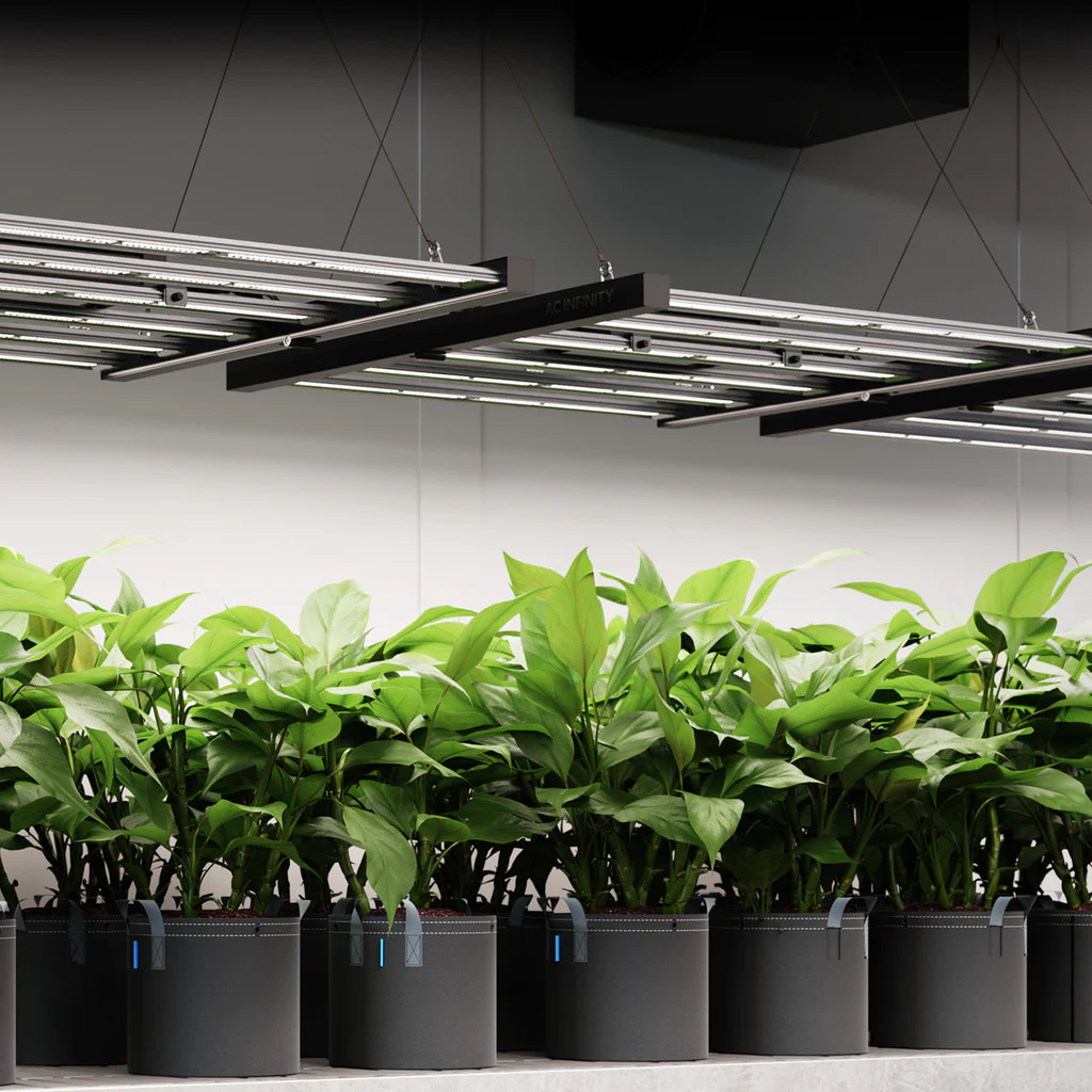 AC Infinity | IONFRAME EVO Series Full-Spectrum LED Grow Lights - Image 26