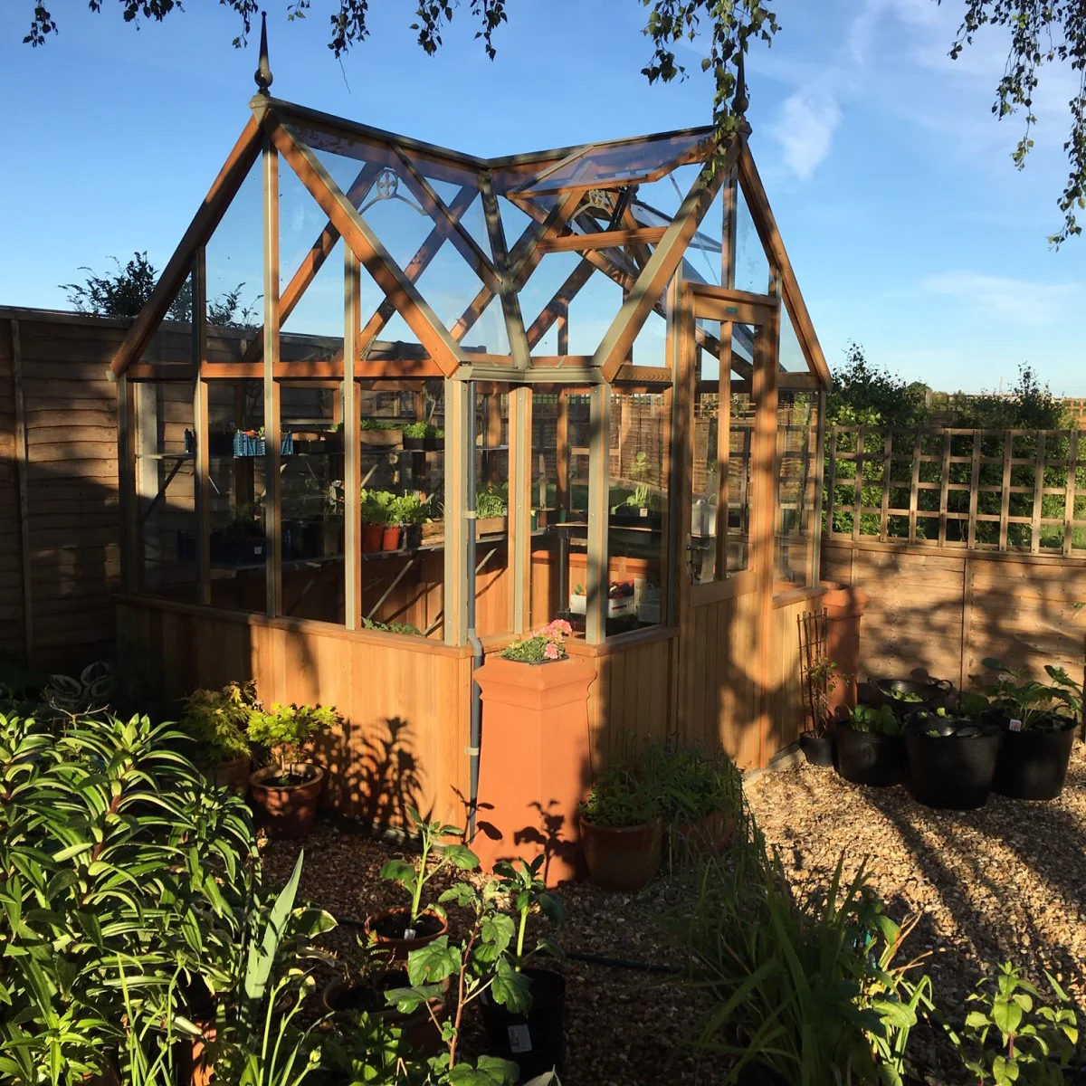 Alton | Durham Victorian Half Board Cedar Orangery With 3mm Tempered Glass Glazing - 7 ft. 4 in. Wide - Image 5