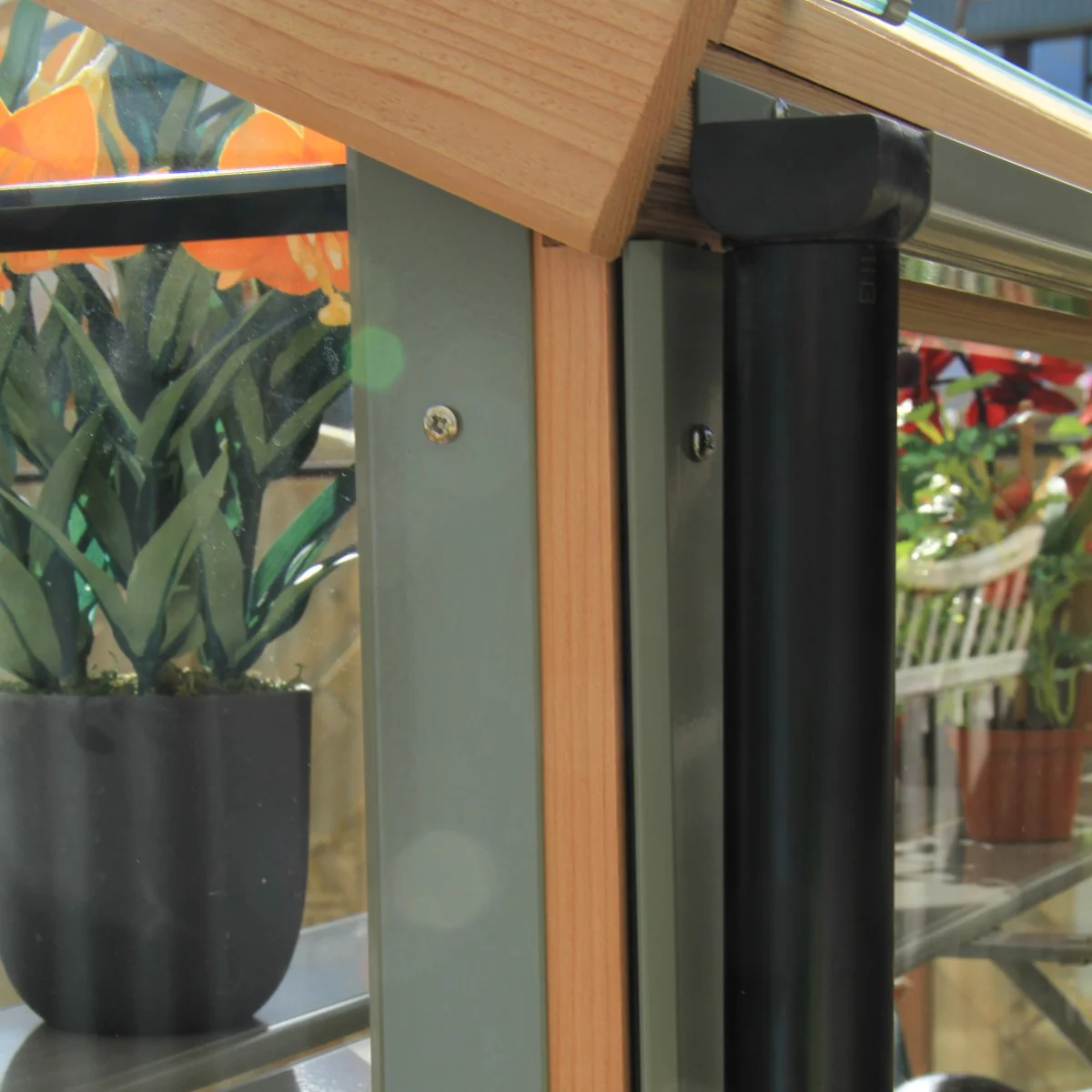 Alton | Cheltenham Victorian Half Board Cedar Greenhouse With 3mm Tempered Glass Glazing - 8 ft. 8 in. Wide - Image 15