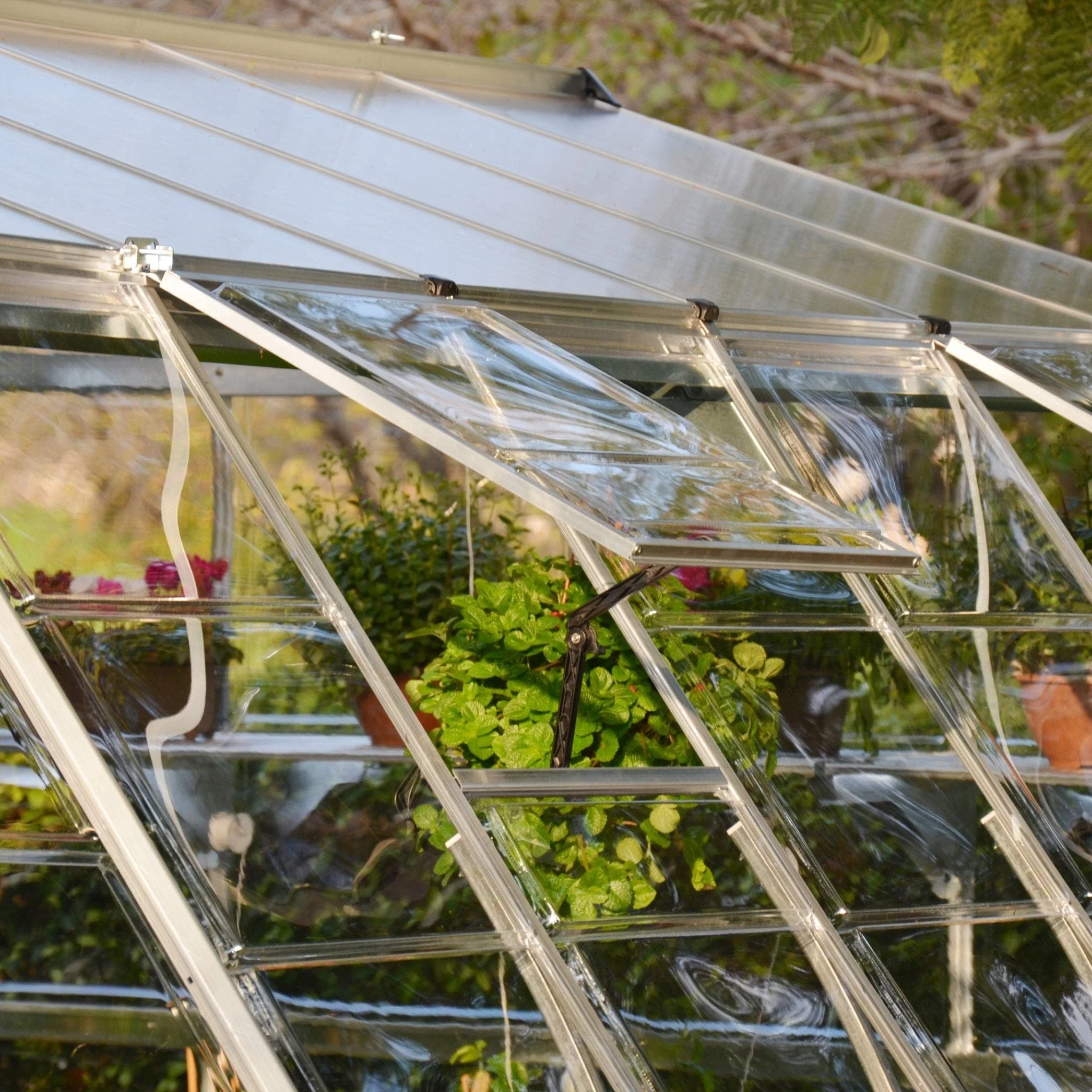 Palram - Canopia | 12x12 ft Americana Greenhouse Kit With 0.8mm Polycarbonate Glazing - Image 8