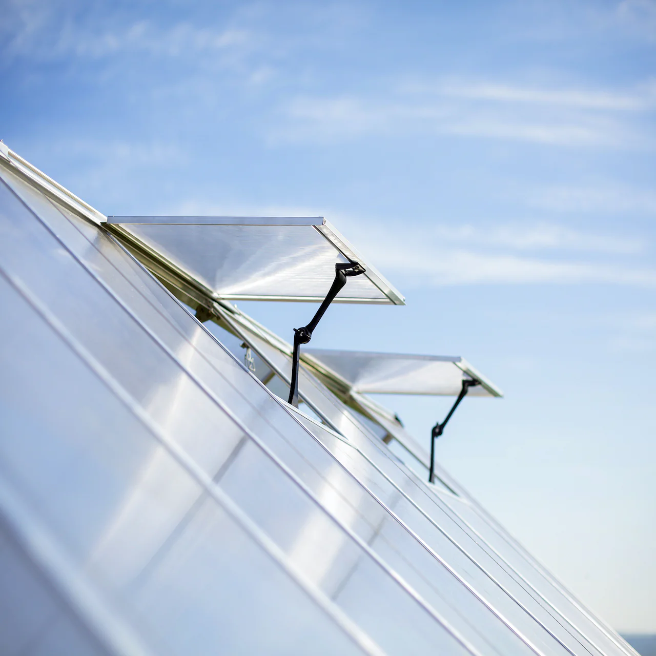Palram - Canopia | Balance Greenhouse Kit With Clear 0.8mm Polycarbonate Glazing - Image 24