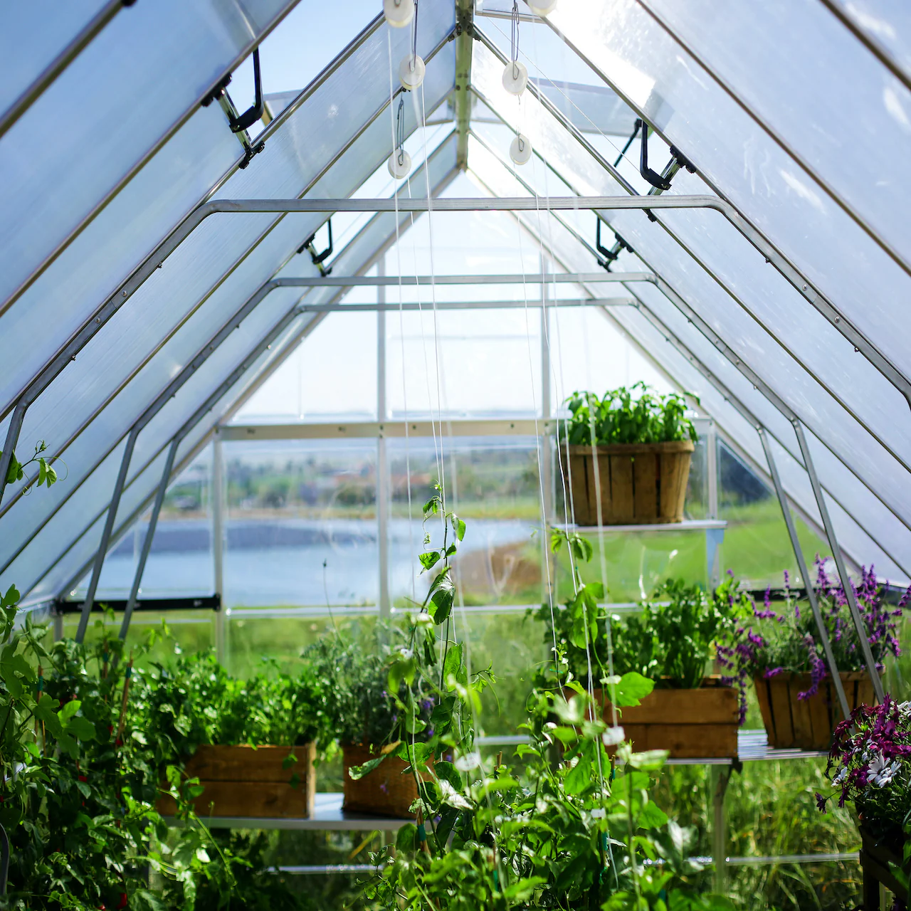 Palram - Canopia | Balance Greenhouse Kit With Clear 0.8mm Polycarbonate Glazing - Image 29