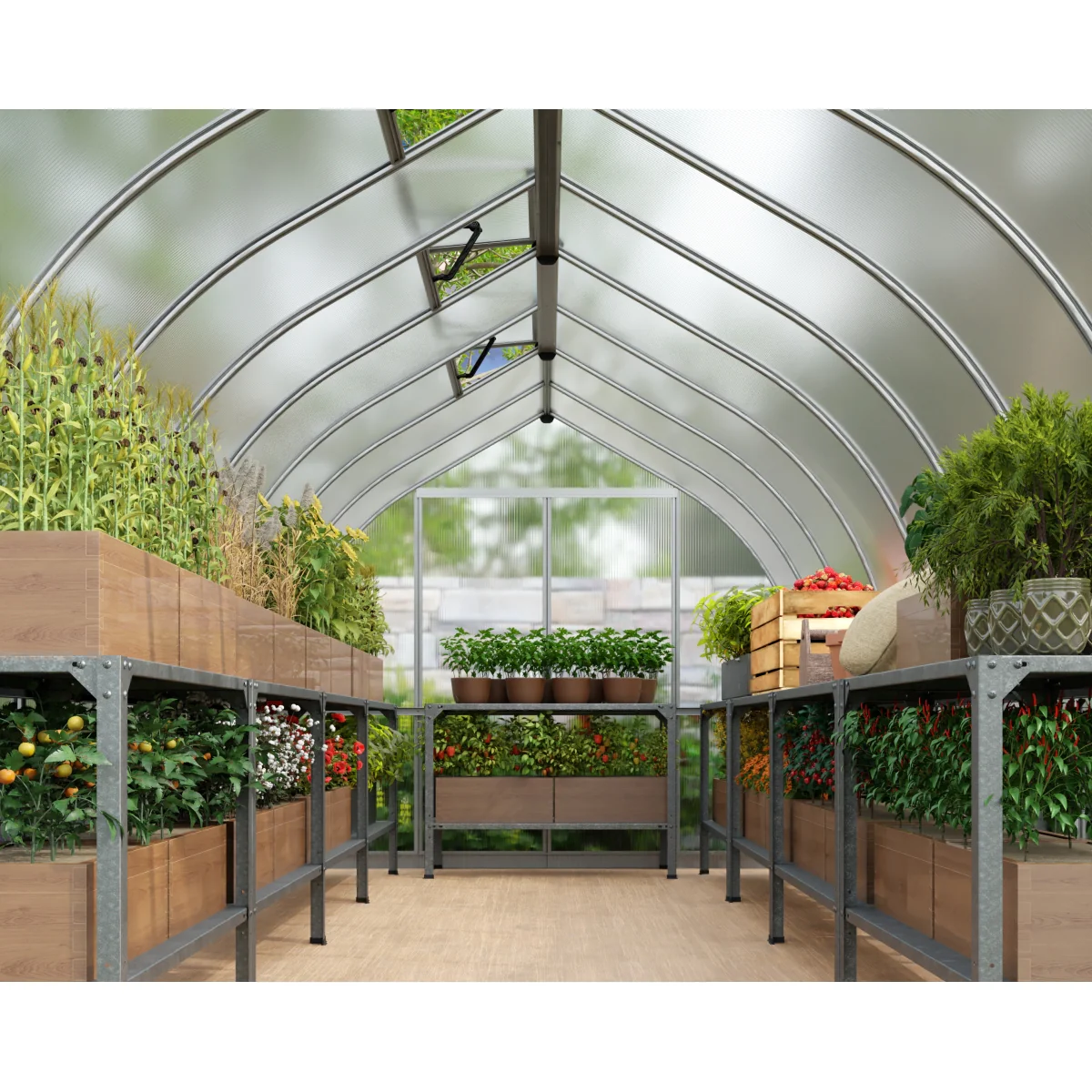 Palram - Canopia | Bella Greenhouse 8 ft Wide - Silver With 6mm Twin-wall Polycarbonate Glazing - Image 3