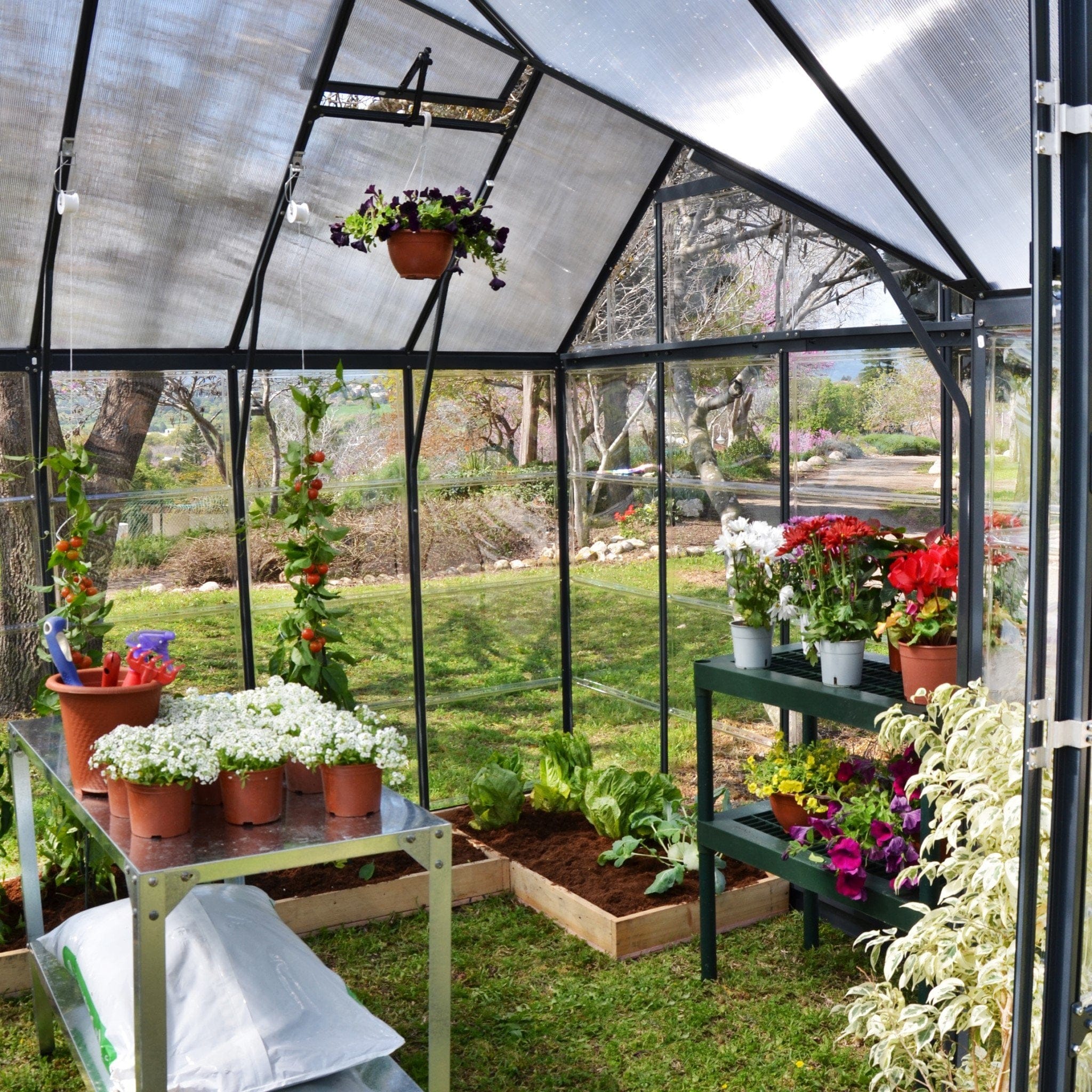 Palram - Canopia | 12x10 ft Chalet Greenhouse Kit - Gray With 0.8mm Polycarbonate Glazing - Image 4