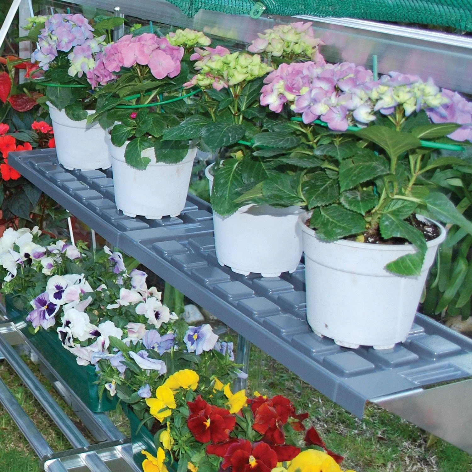 Palram - Canopia | Greenhouse Shelf for Palram - Canopia Greenhouses - Image 3