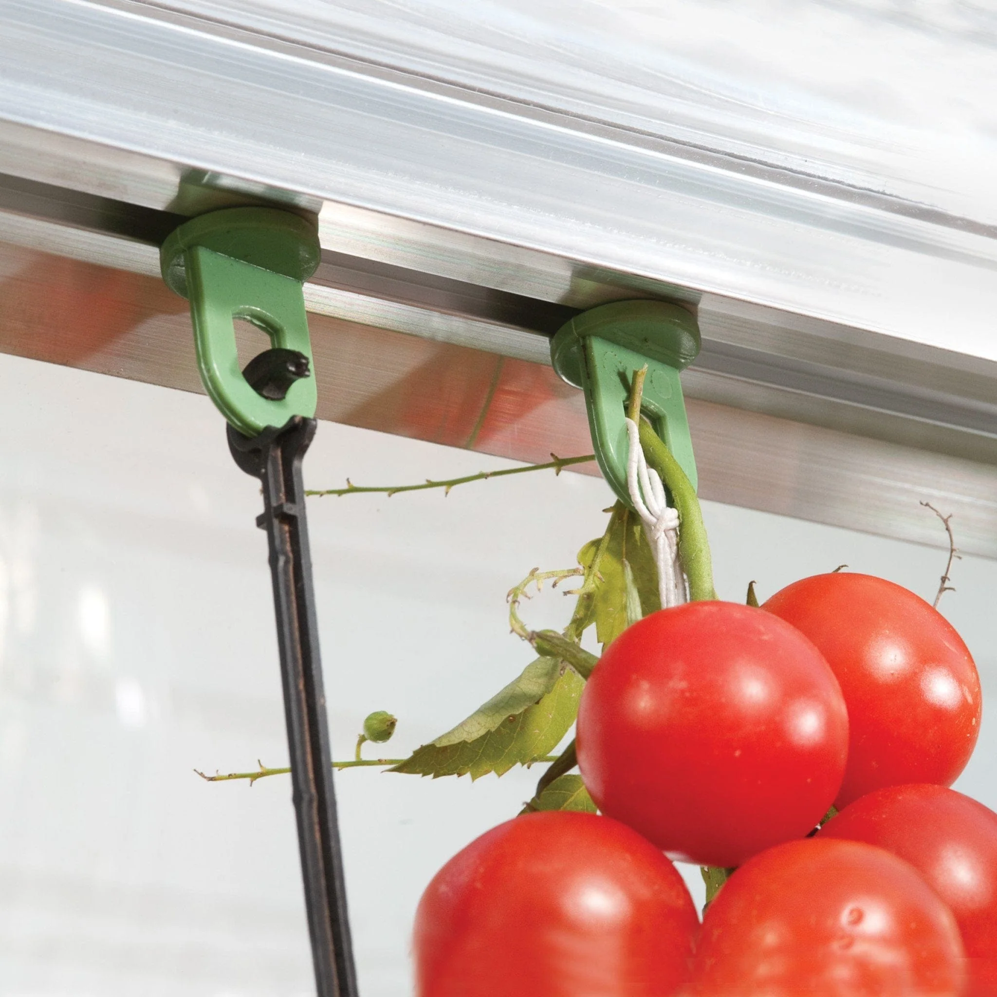 Palram - Canopia | Plant Hangers for Aluminum Palram - Canopia Greenhouses - Image 2