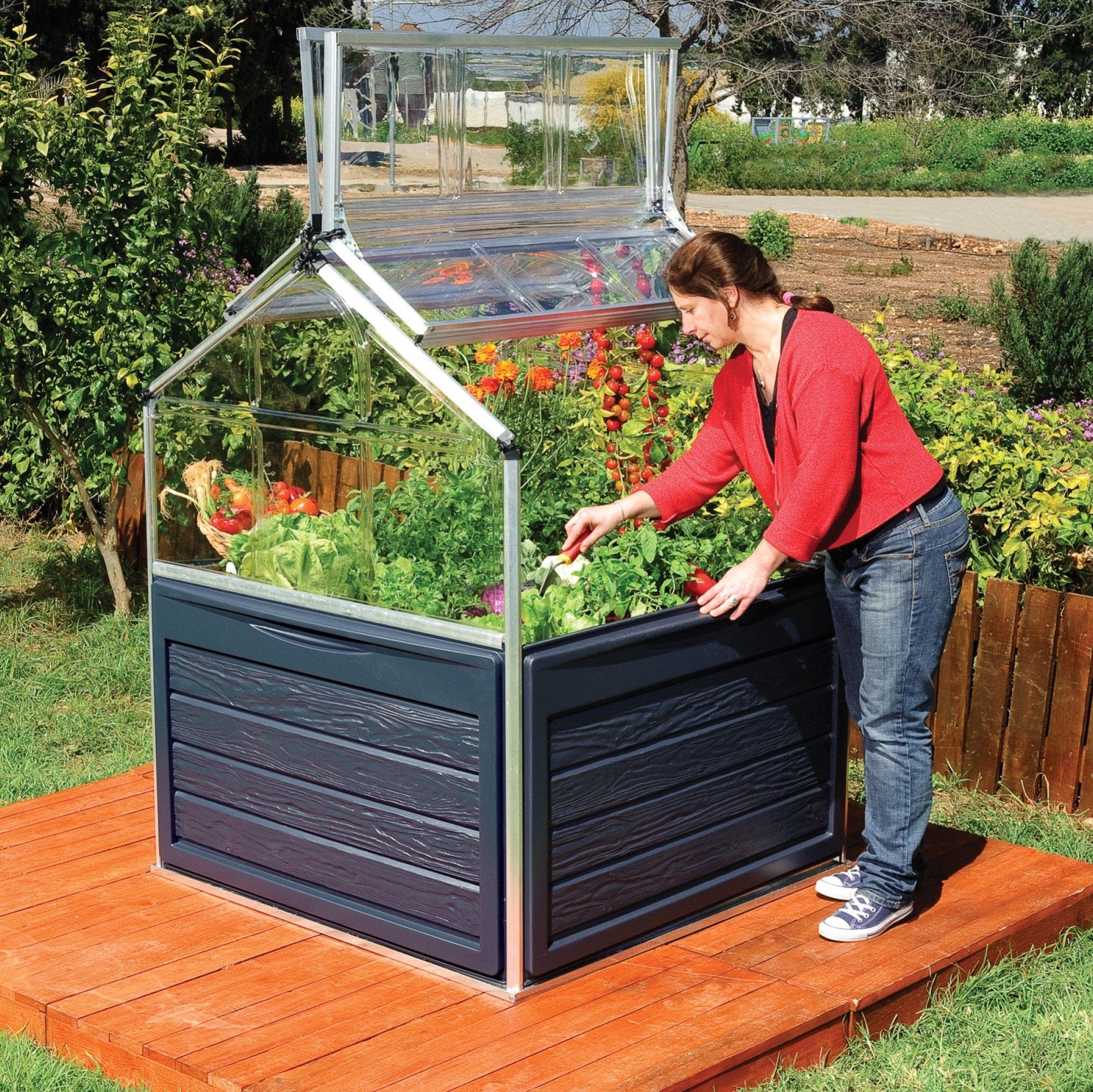 Palram - Canopia | Plant Inn™ - Image 5