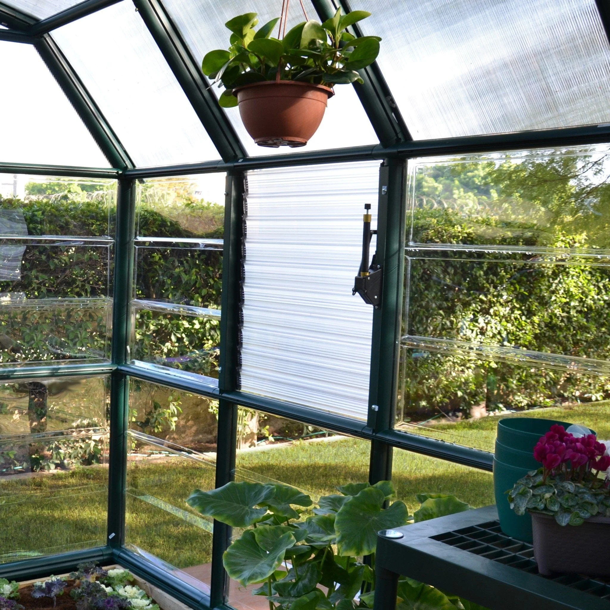 Palram - Canopia | Side Louver Greenhouse Window for Rion Series - Image 3