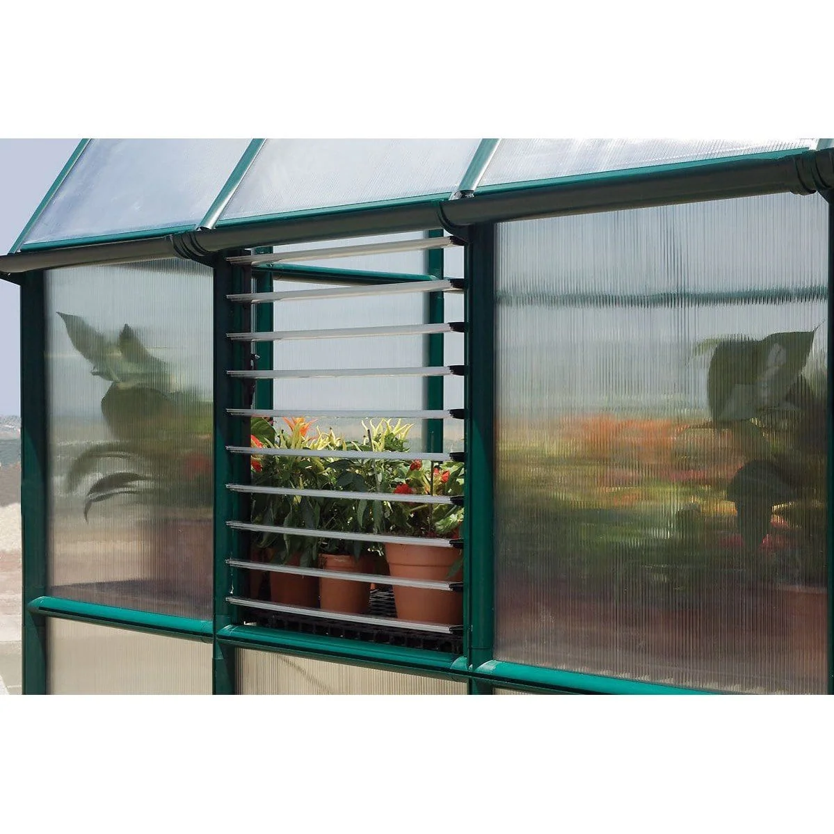 Palram - Canopia | Side Louver Greenhouse Window for Rion Series - Image 4