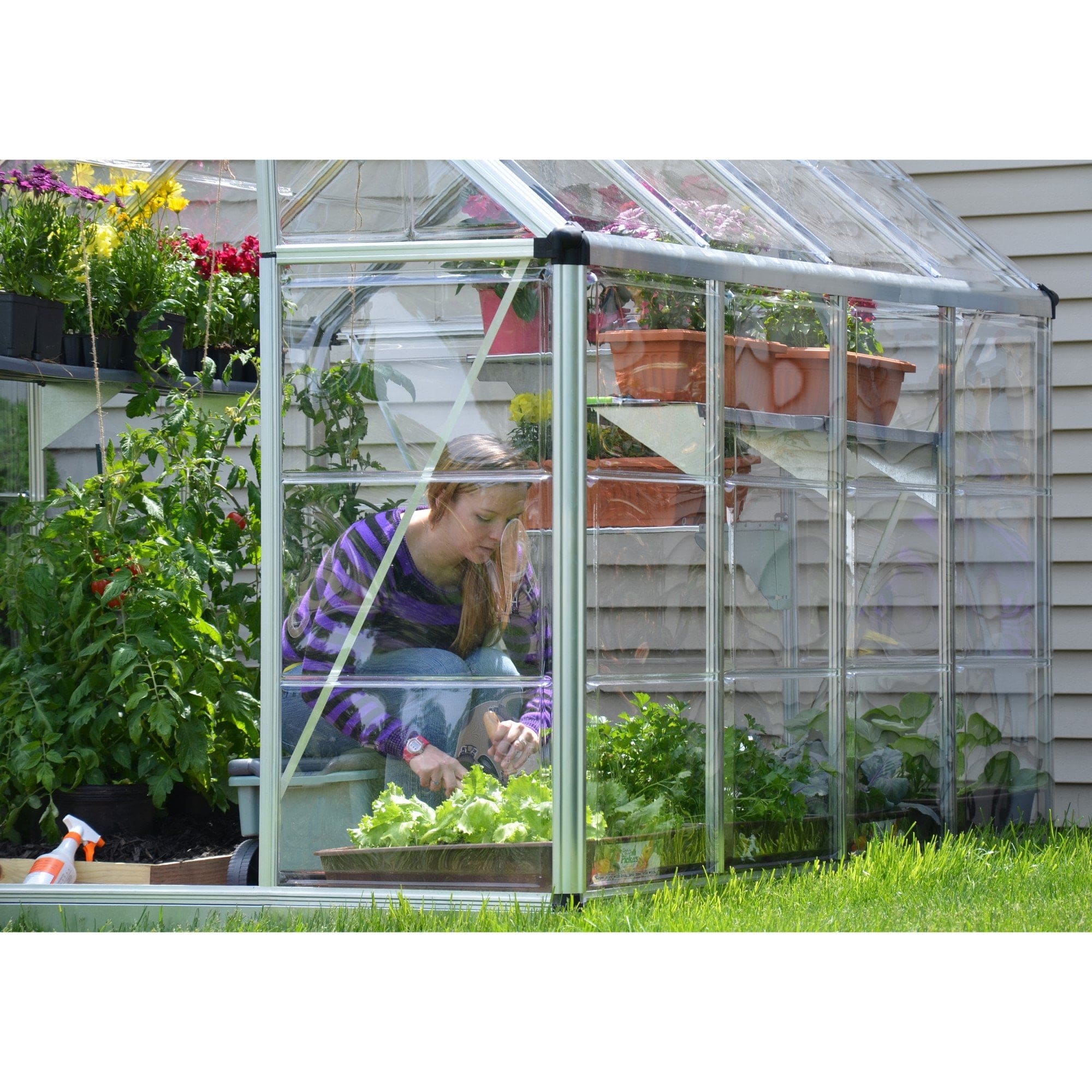 Palram - Canopia | Snap & Grow Greenhouse Kit - 6ft Wide - Silver With 0.8mm Polycarbonate Glazing - Image 12