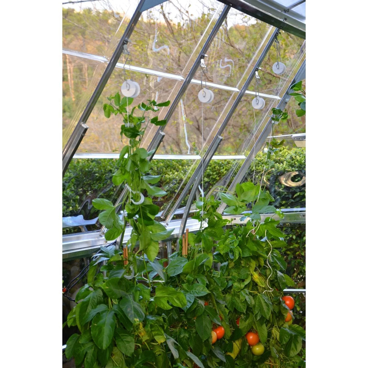 Palram - Canopia | Trellising Kit Pro for Palram - Canopia Greenhouses - Image 4