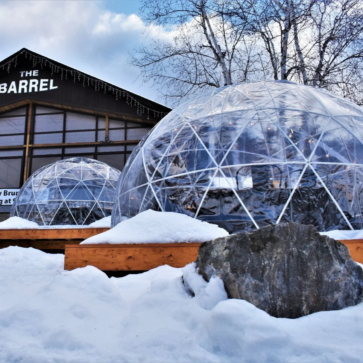 Garden Igloo | Dome, PVC, 11'9"W, 7'2"H - Outdoor Dining, Play Area for Children, Stylish Conservatory, Greenhouse, Gazebo - Image 16