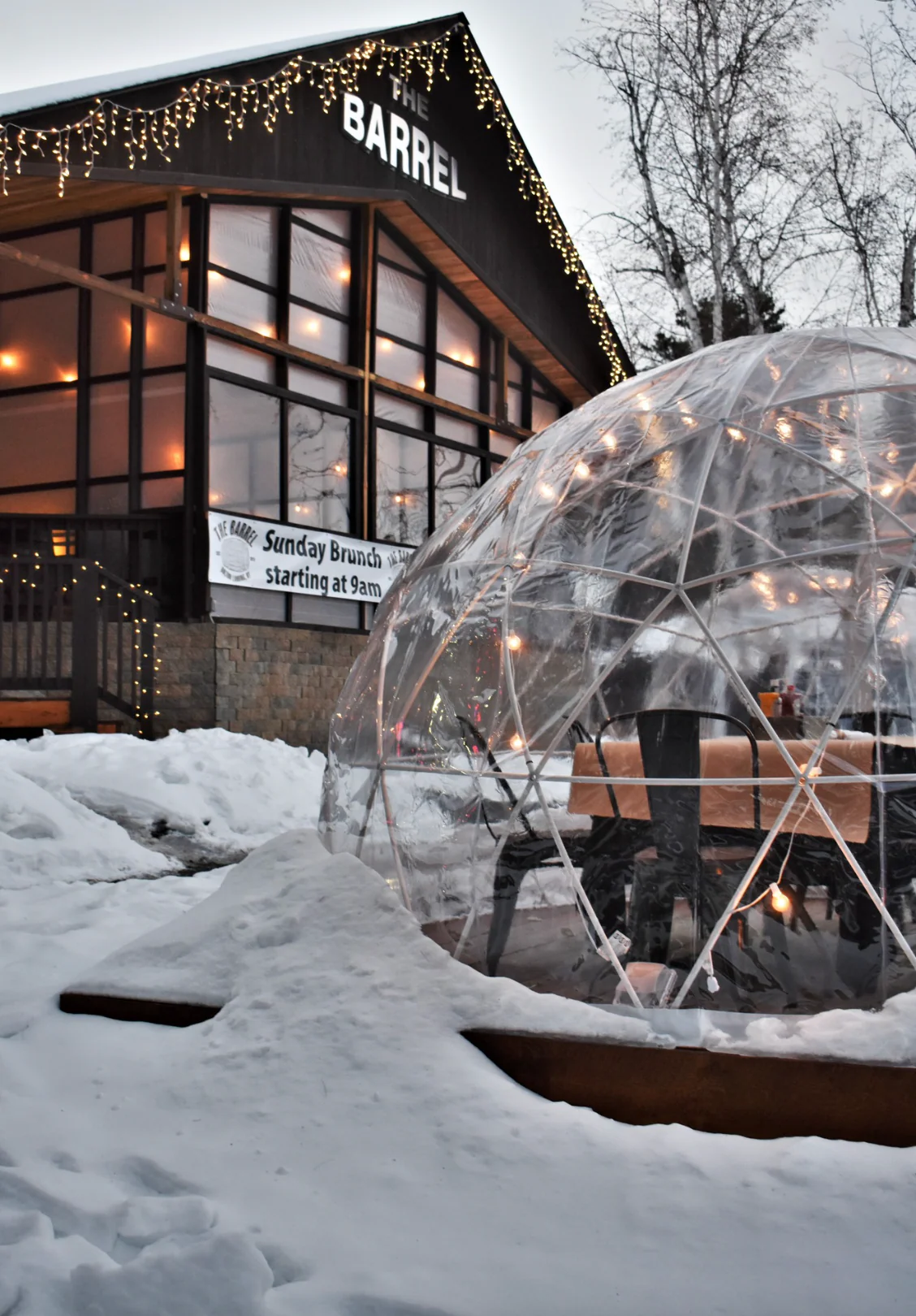 Garden Igloo | Dome Winter Garden Replacement Cover V2 - Image 5