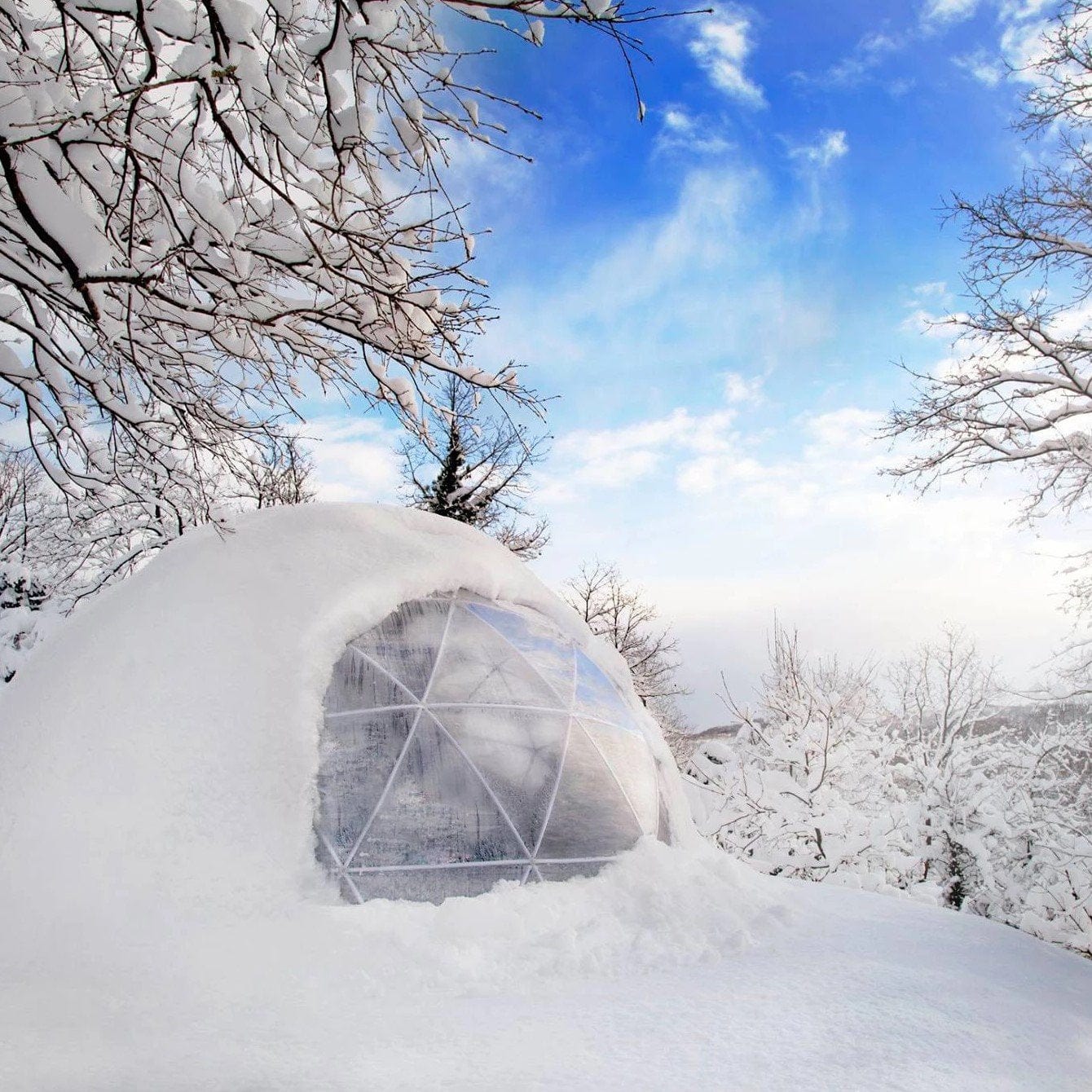 Garden Igloo | Dome, Aluminum, 11'9"W, 7'2"H - Outdoor Dining, Play Area for Children, Stylish Conservatory, Greenhouse, Gazebo - Image 11