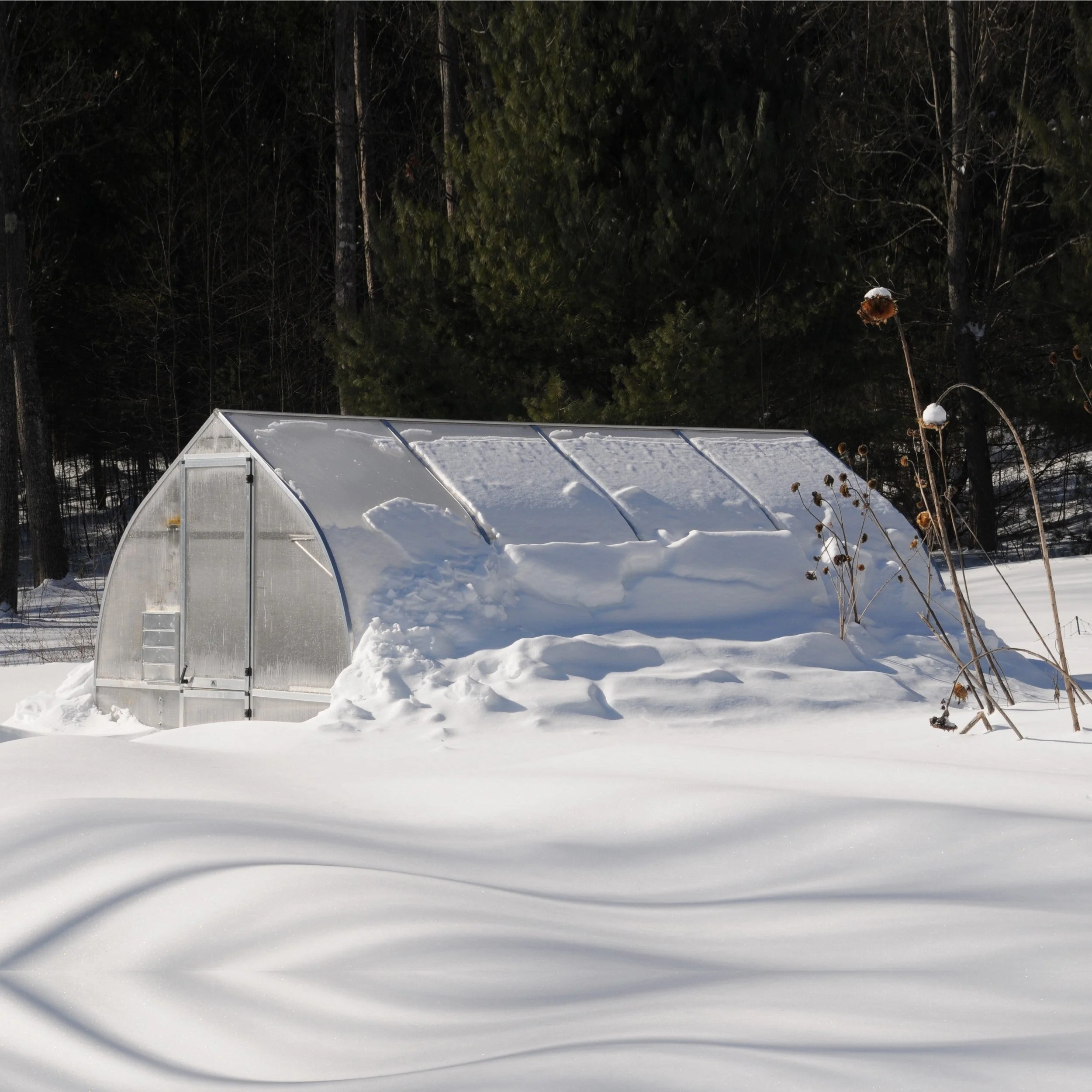 Hoklartherm | 9ft 8in x 14ft x 7ft 7in Riga 4 Hobby Greenhouse Kit With 8mm Twin-wall Polycarbonate Glazing - Image 11