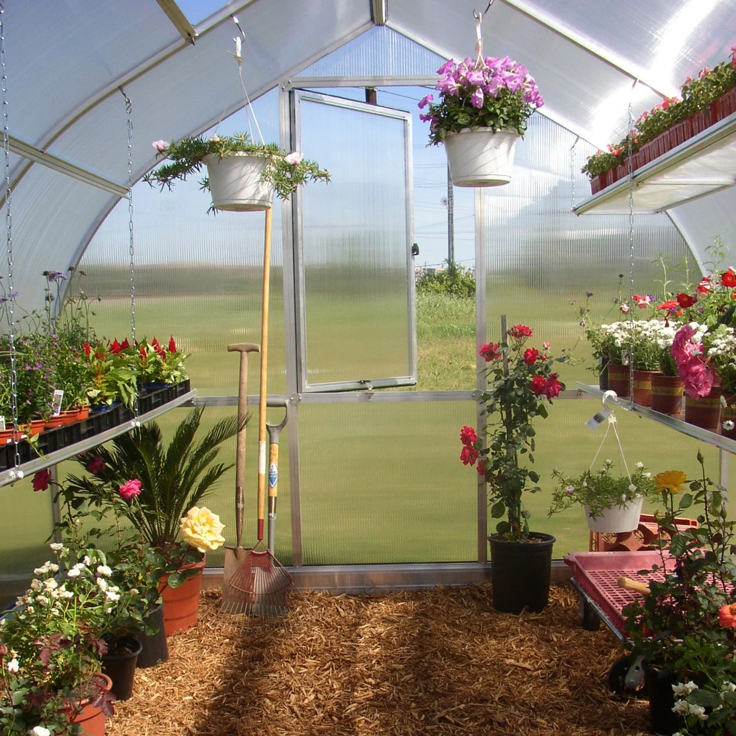 Hoklartherm | 9ft 8in x 14ft x 7ft 7in Riga 4 Hobby Greenhouse Kit With 8mm Twin-wall Polycarbonate Glazing - Image 7