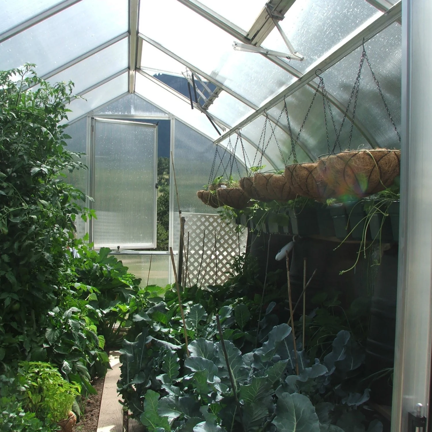 Hoklartherm | 9ft 8in x 17ft 6in x 7ft 7in Riga 5 Hobby Greenhouse Kit With 8mm Twin-wall Polycarbonate Glazing - Image 4