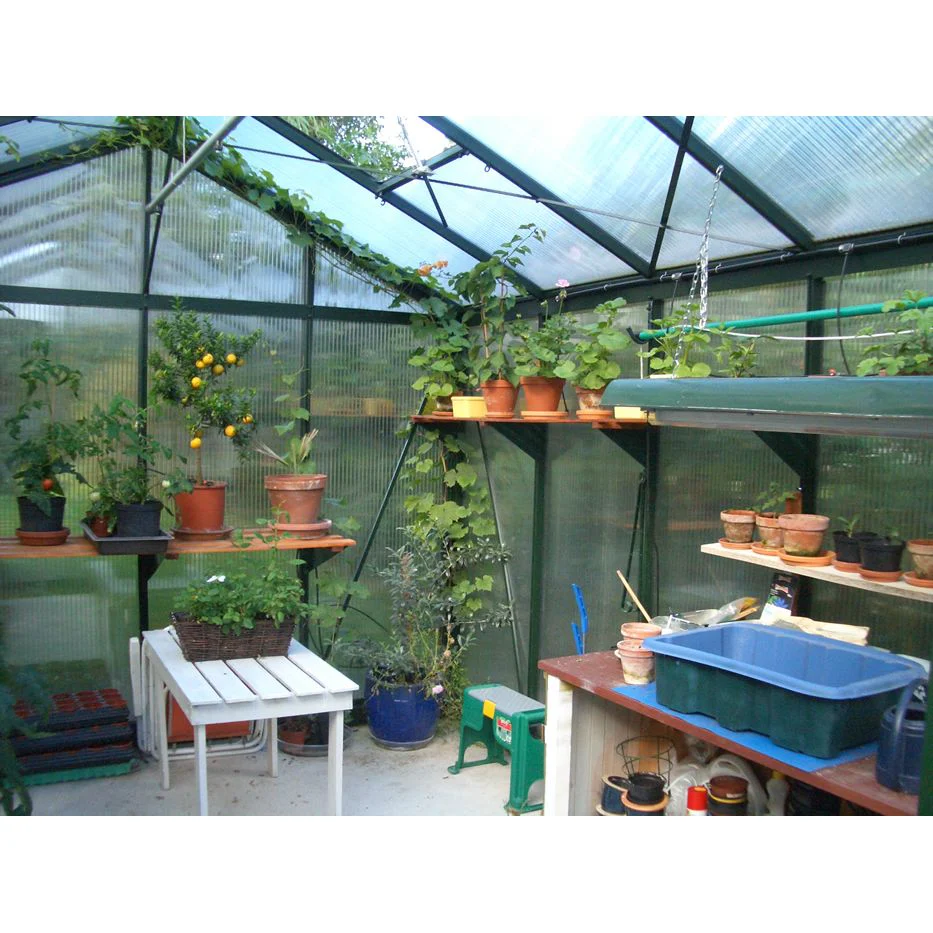 Janssens | 10x15x9 ft Royal Victorian VI 34 Greenhouse Kit - Image 10
