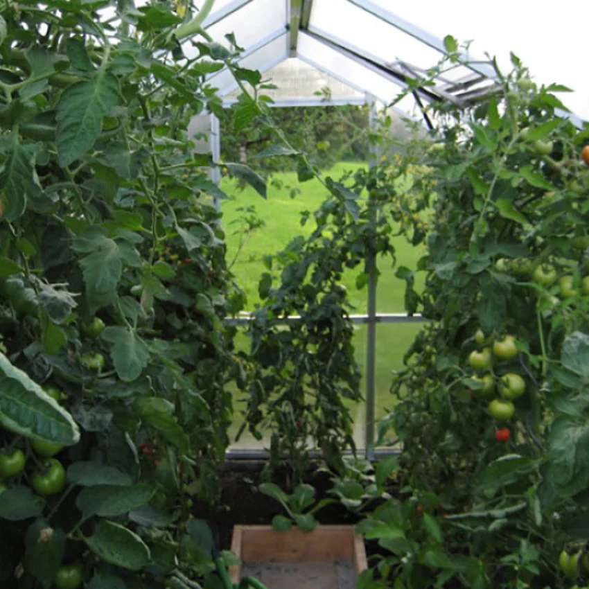 KGT | Nelke PRO 4 10x14 ft Greenhouse With 16mm Triple-Wall Polycarbonate Glazing - Image 14