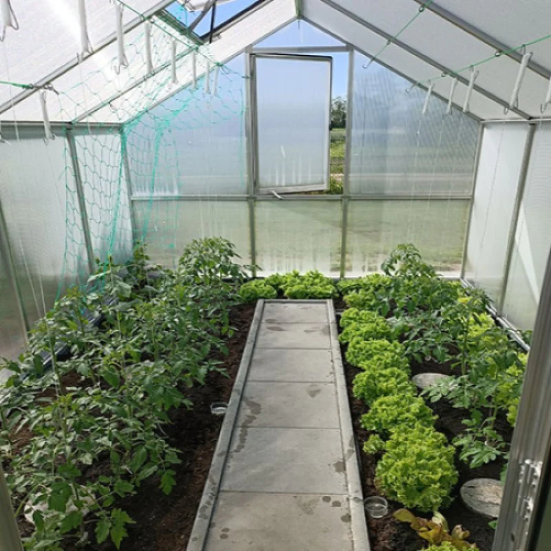 KGT | Nelke PRO 4 10x14 ft Greenhouse With 16mm Triple-Wall Polycarbonate Glazing - Image 6