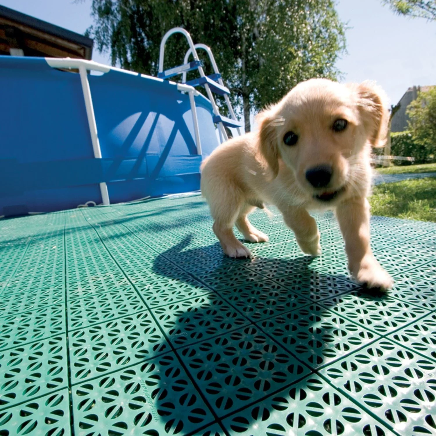 Riverstone | MONT 16' Greenhouse Interlocking Flooring System - 41 Tiles Kit - Image 3