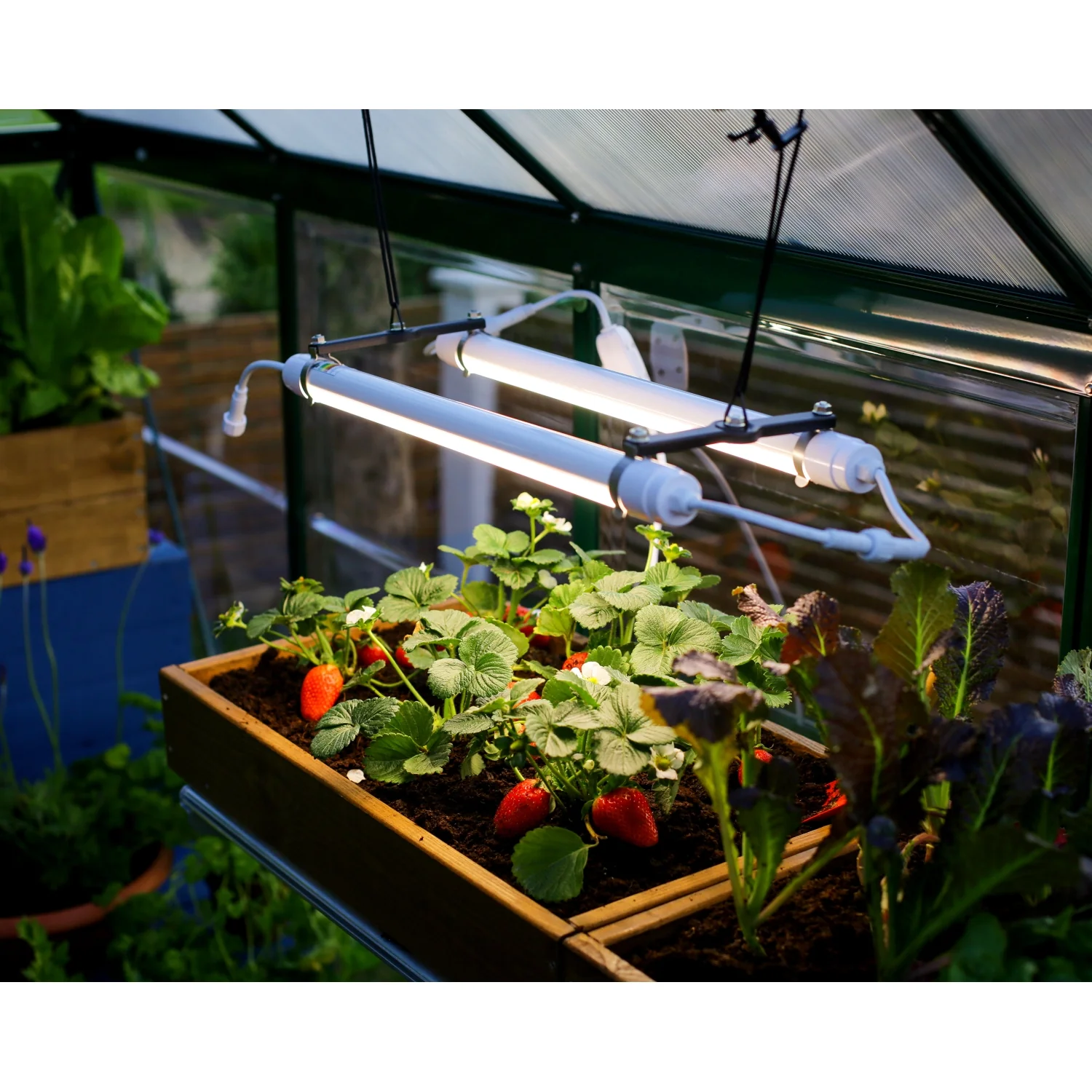 Palram - Canopia | Brighton - LED Grow Light - Image 14