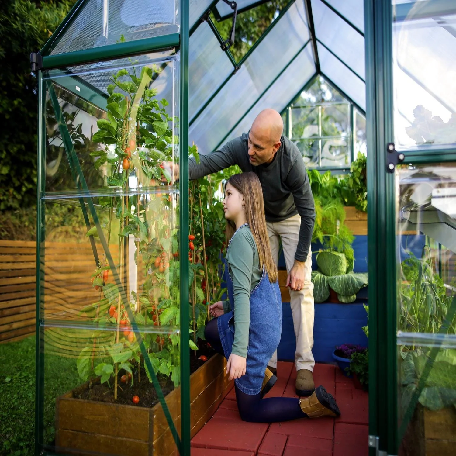 Palram - Canopia | 6x10 ft Hybrid Greenhouse Kit - Green With 0.8mm Polycarbonate Glazing - Image 10