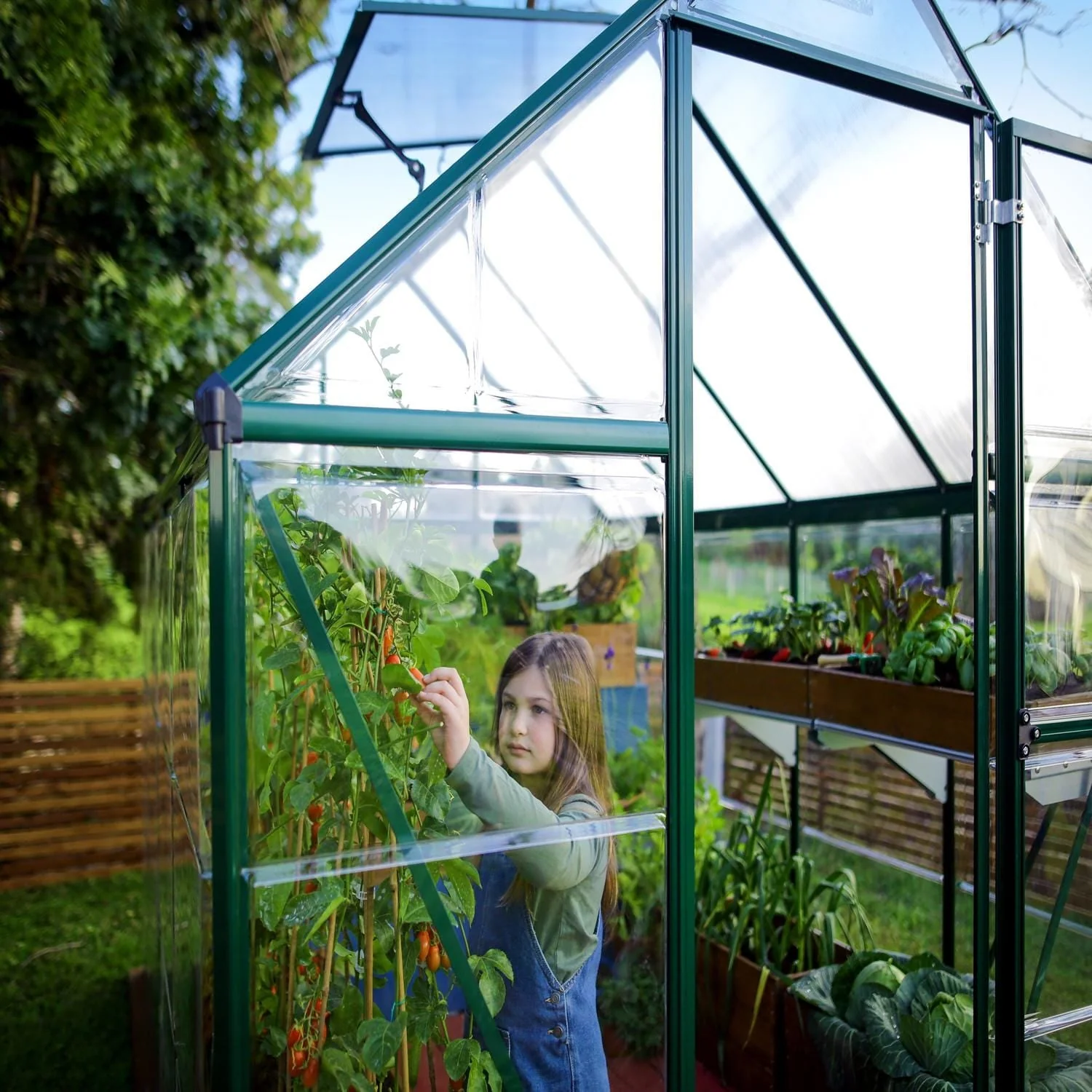 Palram - Canopia | 6x10 ft Hybrid Greenhouse Kit - Green With 0.8mm Polycarbonate Glazing - Image 9