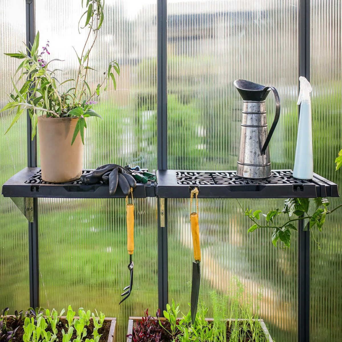 Palram - Canopia | Shelf Kit for Most Canopia Greenhouses - Image 7