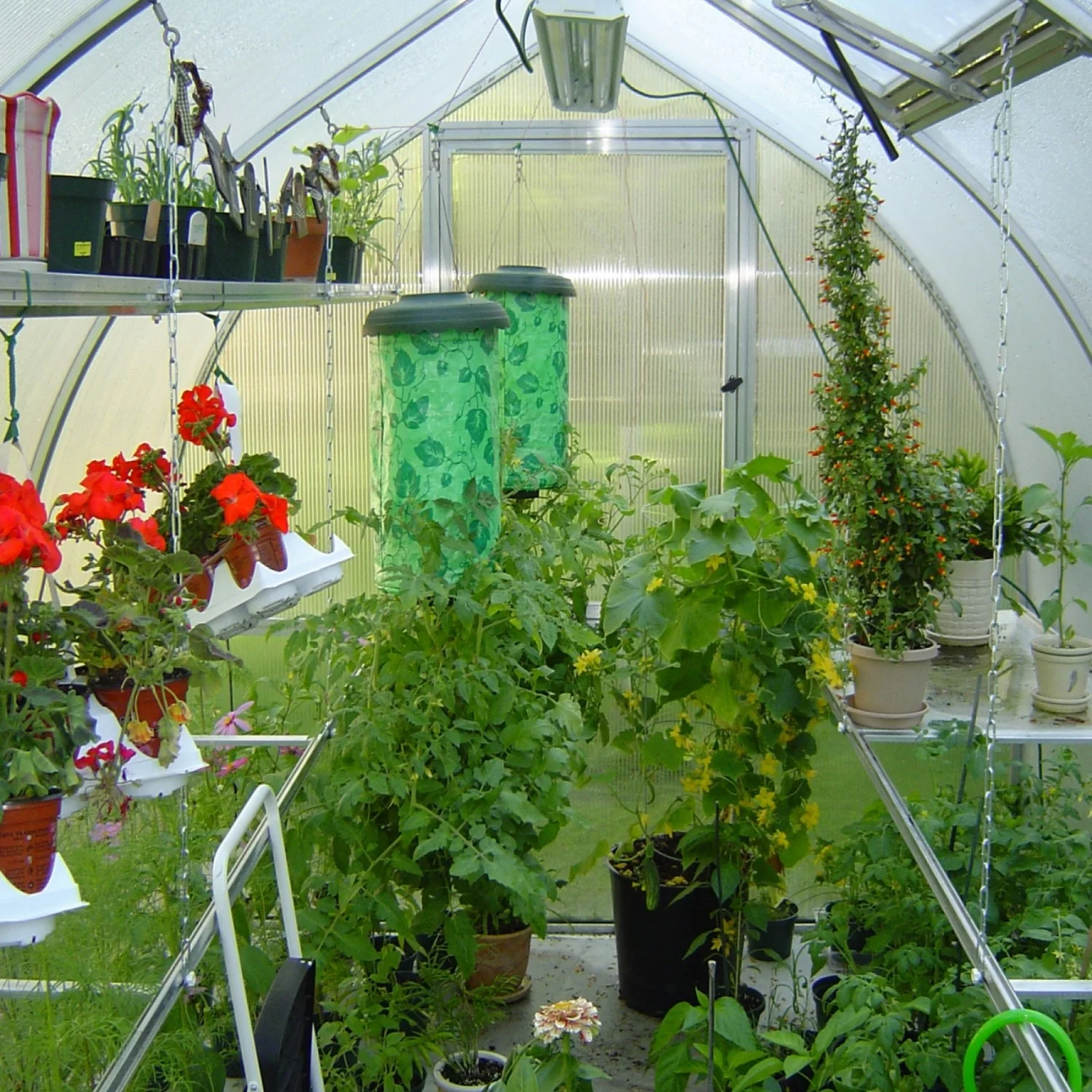 Hoklartherm | 9ft 8in x 10ft 6in x 7ft 7in Riga 3 Hobby Greenhouse Kit With 8mm Twin-wall Polycarbonate Glazing - Image 7