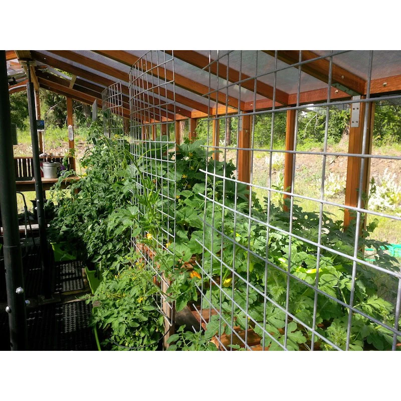 Santa Barbara | Deluxe Redwood Glass Greenhouse/Sunroom Premium Package With 3/16 inch Glass Glazing and Pre-assembled Panels - Image 26