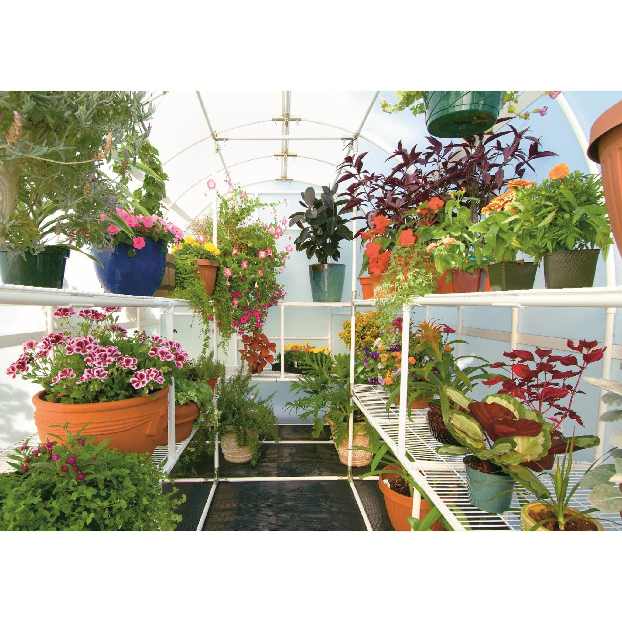 Solexx | Gardener's Oasis Greenhouse Kit With High Performance Greenhouse Plastic - Image 3