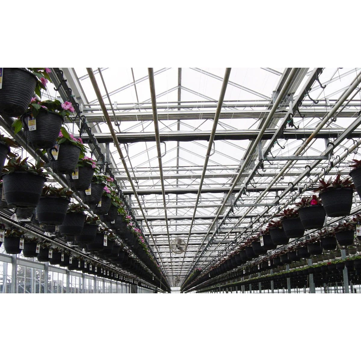 Solexx | Premium Professional Greenhouse Covering - Bulk Rolls - Image 11