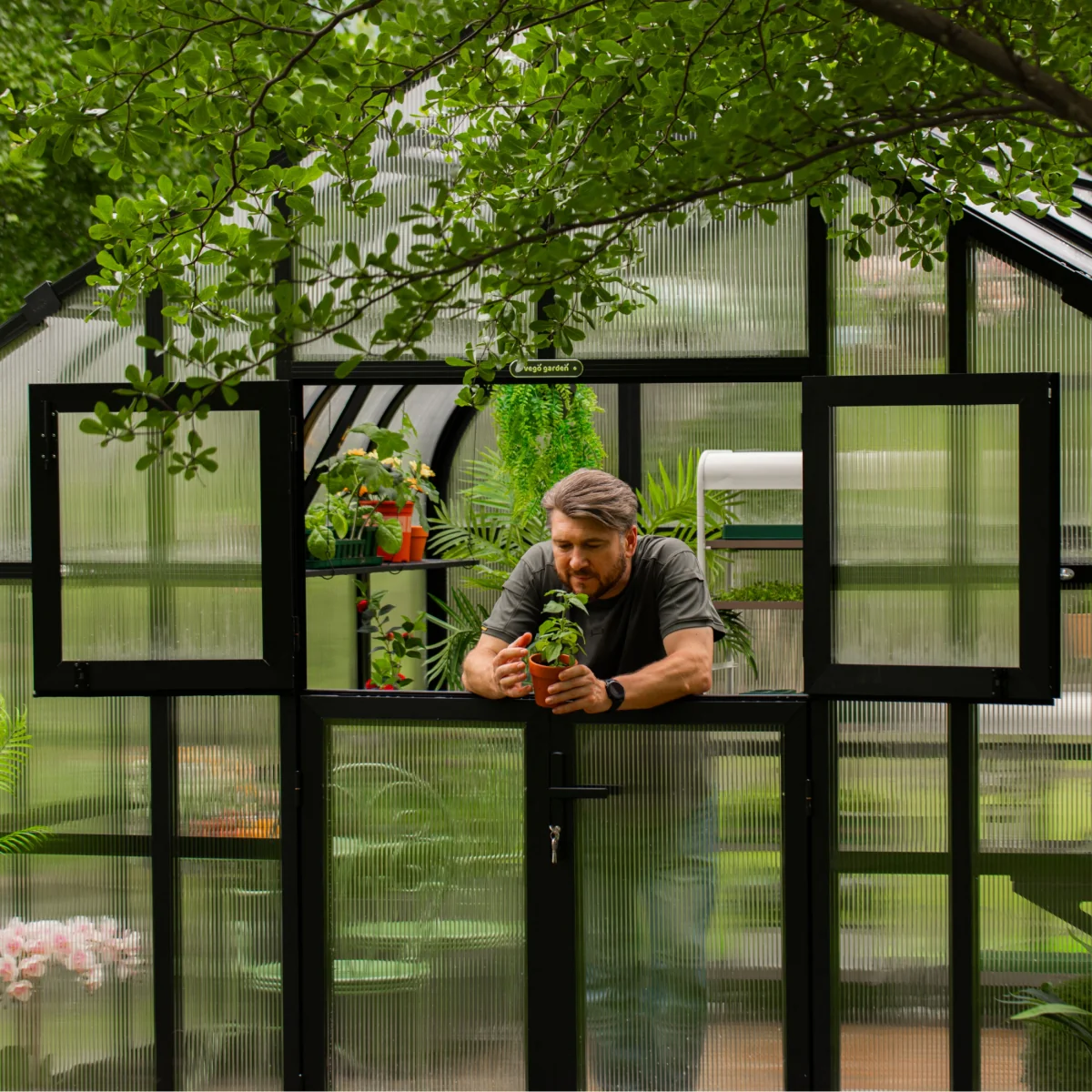 Vego | Pacific Greenhouse Kit 10ft 6in Wide - Image 6