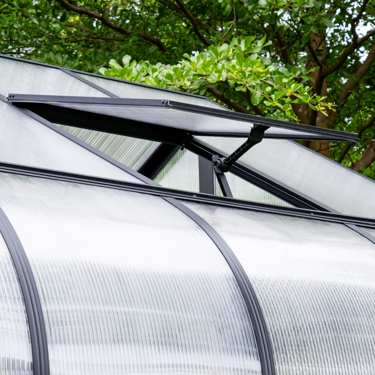 Vego | Grand Pacific Greenhouse Kit 12ft 6in Wide - Image 5