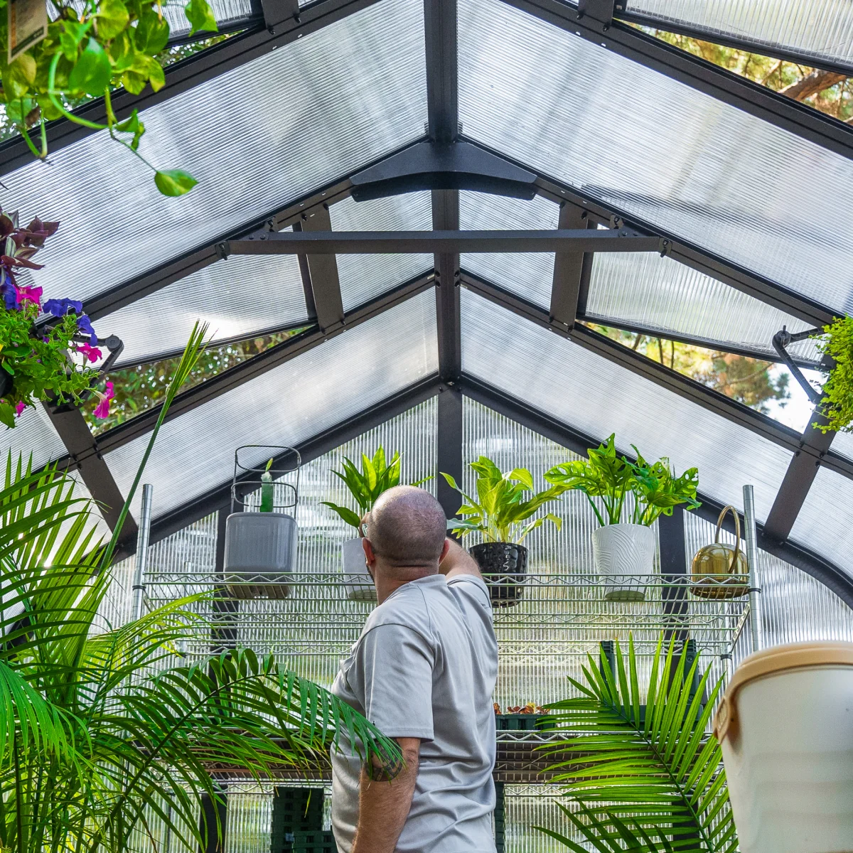 Vego | Pacific Greenhouse Kit 8ft 6in Wide - Image 6