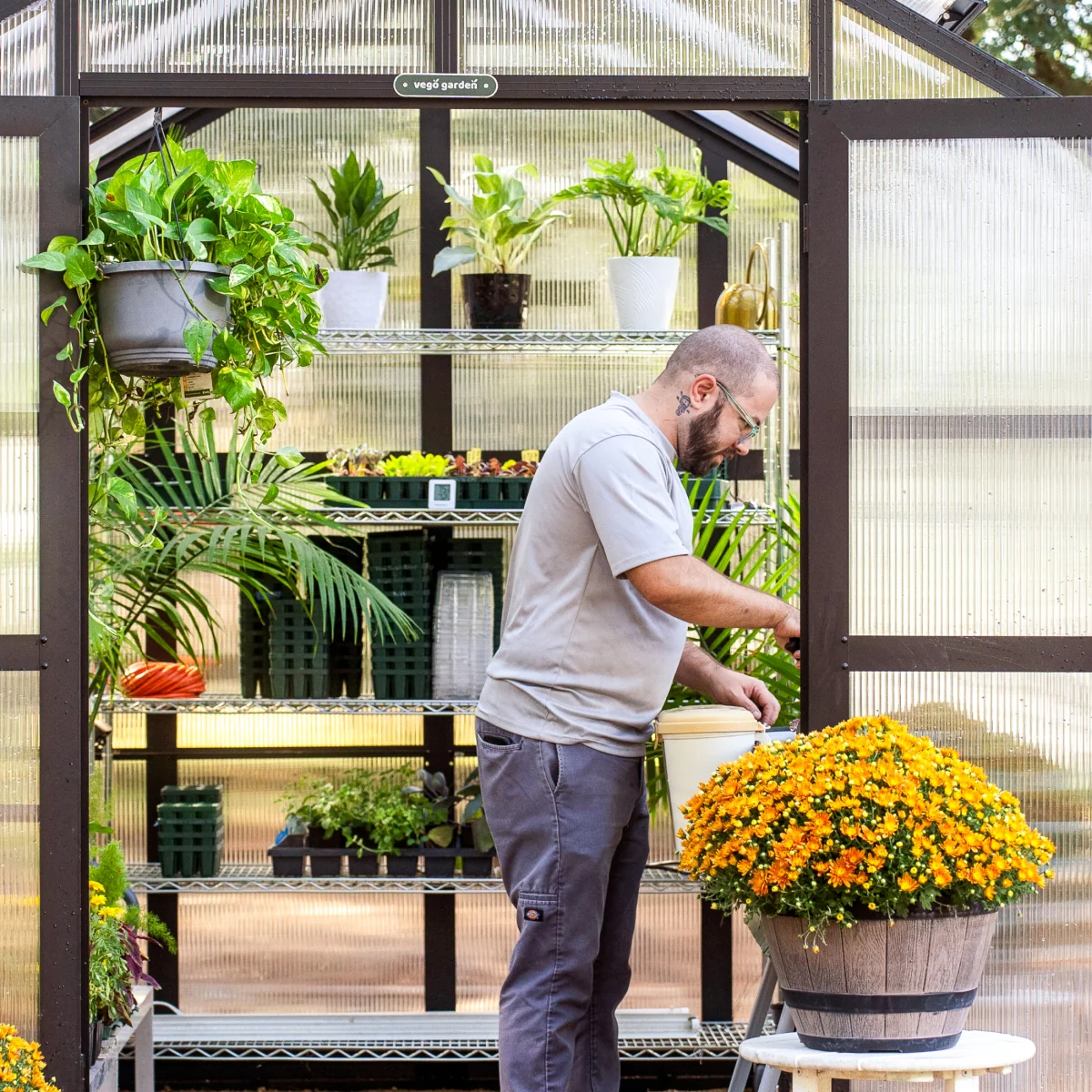 Vego | Pacific Greenhouse Kit 8ft 6in Wide - Image 7